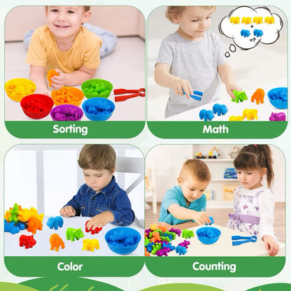 Colour Sorting Toys