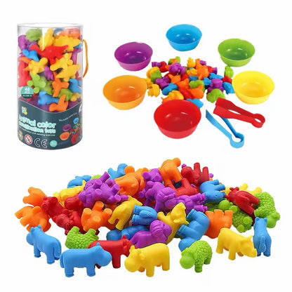 Colour Sorting Toys