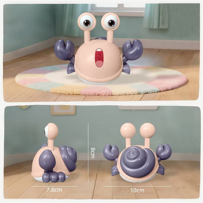 Push Pull Hermit Crab