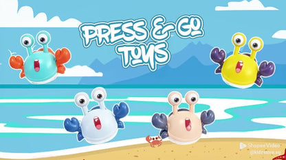 Push Pull Hermit Crab